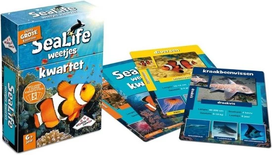 Identity Games Spellenbundel - Kwartet - 3 Stuks - Sealife Kwartet & Kikker Junior Kwartet & Menselijk Lichaam Kwartet 6 Identity Games Spellenbundel - Kwartet - 3 Stuks - Sealife Kwartet & Kikker Junior Kwartet & Menselijk Lichaam Kwartet - Afbeelding 4