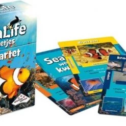 Identity Games Spellenbundel - Kwartet - 2 Stuks - Sealife Kwartet & Paarden Kwartet -Kinderspellen Verkoopwinkel 550x314 17