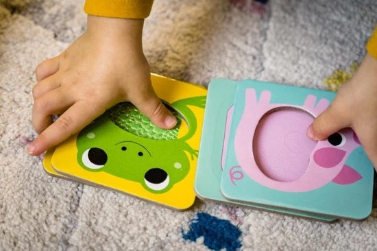 Nathan Petit La Ferme Toucher 11 Nathan Petit La Ferme Toucher - Afbeelding 9