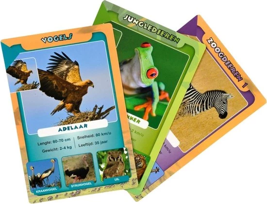 Merkloos Spellenbundel - Kwartet - 3 Stuks - Wildlife Kwartet & Kikker Junior Kwartet & Huisdieren Kwartet 6 Merkloos Spellenbundel - Kwartet - 3 Stuks - Wildlife Kwartet & Kikker Junior Kwartet & Huisdieren Kwartet - Afbeelding 4