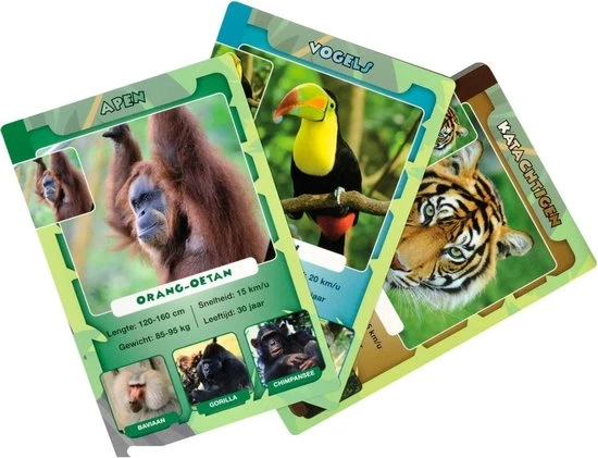 Merkloos Spellenbundel - Kwartet - 3 Stuks - Sealife Kwartet & Junglelife Kwartet & Paarden Kwartet 9 Merkloos Spellenbundel - Kwartet - 3 Stuks - Sealife Kwartet & Junglelife Kwartet & Paarden Kwartet - Afbeelding 7