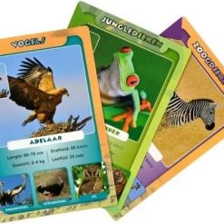 Identity Games Spellenbundel - Kwartet - 3 Stuks - Wildlife Kwartet & Junglelife Kwartet & Menselijk Lichaam -Kinderspellen Verkoopwinkel 550x421 33