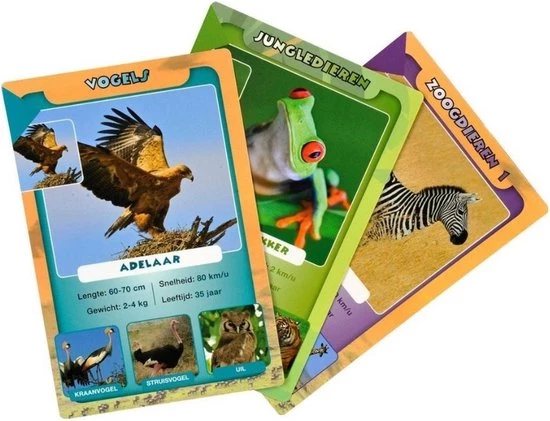 Identity Games Spellenbundel - Kwartet - 3 Stuks - Wildlife Kwartet & Sealife Kwartet & Kikker Jr. Kwartet 5 Identity Games Spellenbundel - Kwartet - 3 Stuks - Wildlife Kwartet & Sealife Kwartet & Kikker Jr. Kwartet - Afbeelding 3