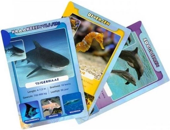 Identity Games Spellenbundel - Kwartet - 3 Stuks - Wildlife Kwartet & Sealife Kwartet & Kikker Jr. Kwartet 8 Identity Games Spellenbundel - Kwartet - 3 Stuks - Wildlife Kwartet & Sealife Kwartet & Kikker Jr. Kwartet - Afbeelding 6
