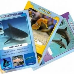 Identity Games Spellenbundel - Kwartet - 2 Stuks - Sealife Kwartet & Paarden Kwartet -Kinderspellen Verkoopwinkel 550x422 19