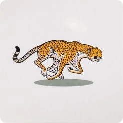 Eduplay Voelkaarten Set Van 6 Stuks -Kinderspellen Verkoopwinkel 550x550 59