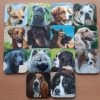Nevospel Kleintje Twee=Oke Honden -Kinderspellen Verkoopwinkel 550x733 3